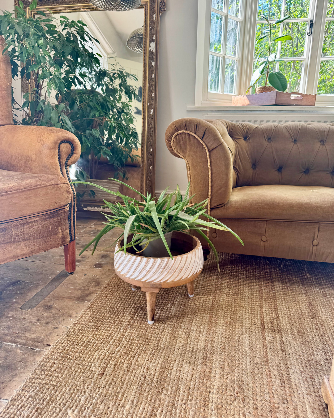 Hand-Carved Mango Wood Chakki Bowl Planter – Whitewashed Finish
