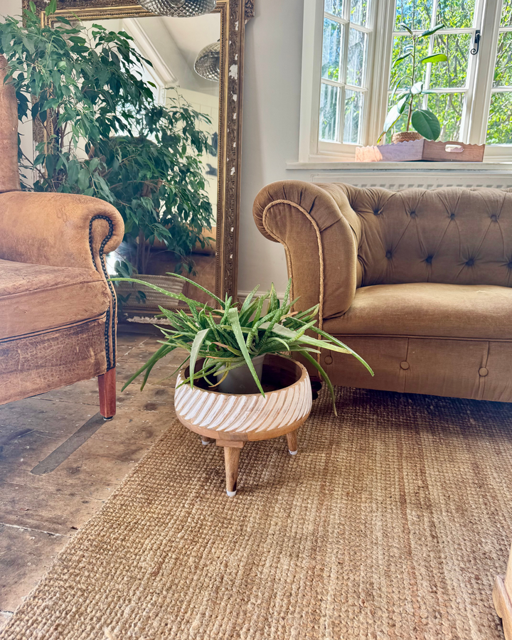 Hand-Carved Mango Wood Chakki Bowl Planter – Whitewashed Finish