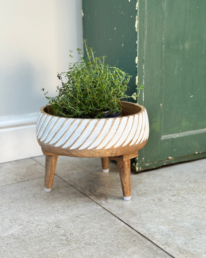 Hand-Carved Mango Wood Chakki Bowl Planter – Whitewashed Finish